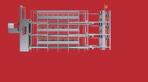 Broiler Yetiştirme Kafesi