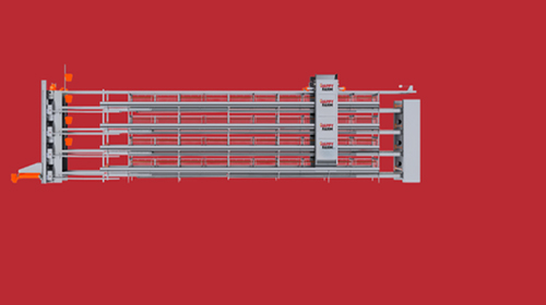 Yumurta Tavuk Kafesi