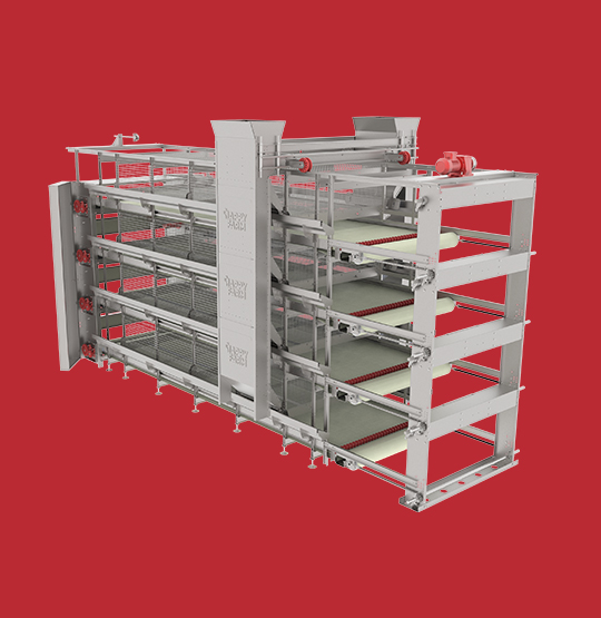 أقفاص تربية الكتاكيت