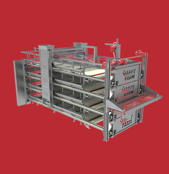 Layer Cages Equipments
