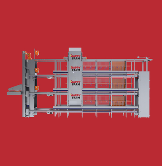 نظام أقفاص التربية