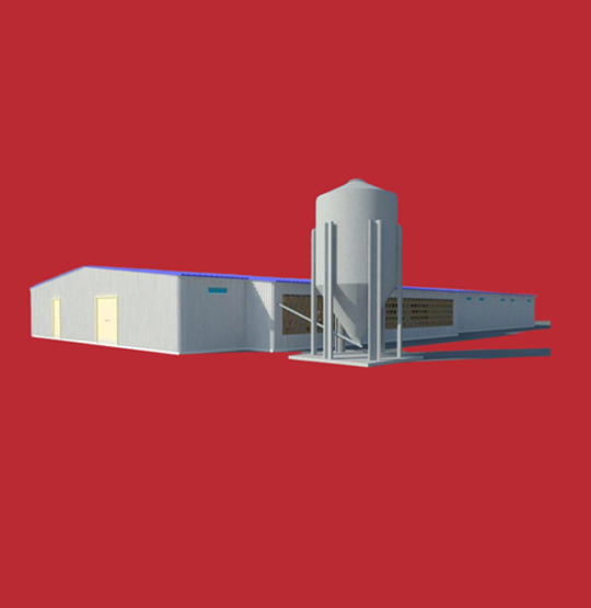 نظام التغذية